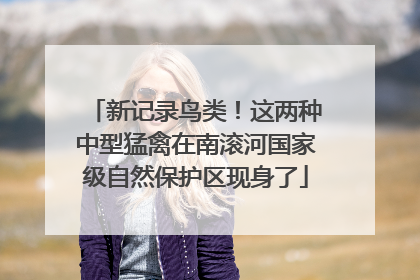 新记录鸟类！这两种中型猛禽在南滚河国家级自然保护区现身了