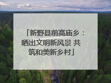 新野县前高庙乡：晒出文明新风景 共筑和美新乡村