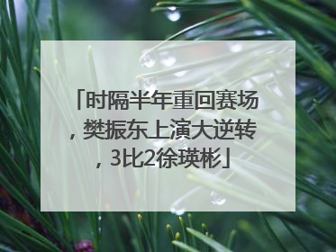 时隔半年重回赛场，樊振东上演大逆转，3比2徐瑛彬