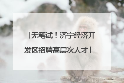 无笔试！济宁经济开发区招聘高层次人才
