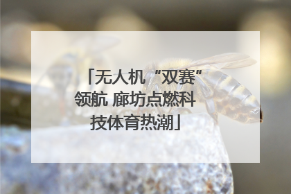 无人机“双赛”领航 廊坊点燃科技体育热潮