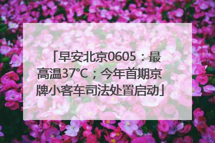 早安北京0605：最高温37℃；今年首期京牌小客车司法处置启动