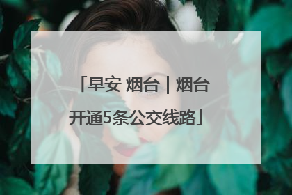 早安 烟台｜烟台开通5条公交线路