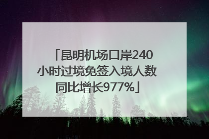昆明机场口岸240小时过境免签入境人数同比增长977%