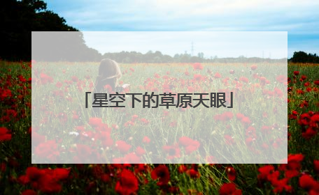 星空下的草原天眼