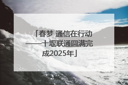 春梦 通信在行动——十堰联通圆满完成2025年