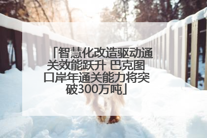 智慧化改造驱动通关效能跃升 巴克图口岸年通关能力将突破300万吨