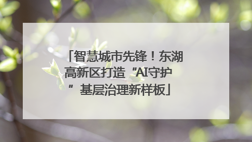 智慧城市先锋！东湖高新区打造“AI守护”基层治理新样板