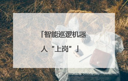 智能巡逻机器人“上岗”