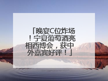 晚宴C位炸场！宁夏葡萄酒亮相西博会，获中外嘉宾好评！