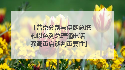 普京分别与伊朗总统和以色列总理通电话 强调重启谈判重要性