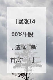 暴涨1400%牛股，造就“新首富”！