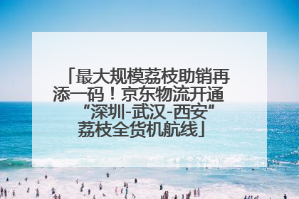 最大规模荔枝助销再添一码！京东物流开通“深圳-武汉-西安” 荔枝全货机航线