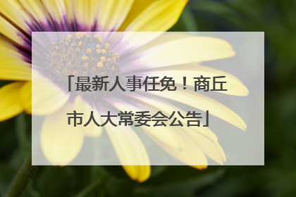 最新人事任免！商丘市人大常委会公告