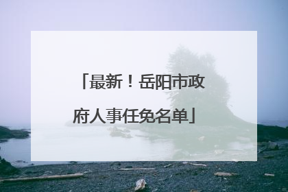 最新！岳阳市政府人事任免名单