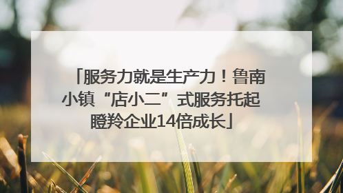 服务力就是生产力！鲁南小镇“店小二”式服务托起瞪羚企业14倍成长