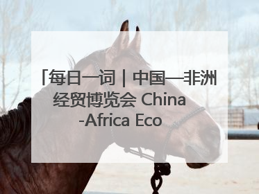 每日一词｜中国—非洲经贸博览会 China-Africa Economic and Trade Expo