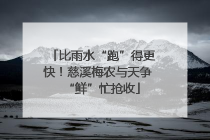 比雨水“跑”得更快！慈溪梅农与天争“鲜”忙抢收
