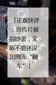 正观快评：宣传片被指抄袭，文旅不要还没出圈先“翻车”