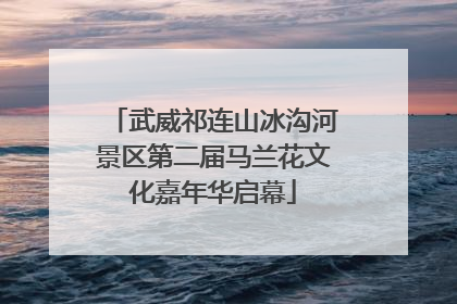 武威祁连山冰沟河景区第二届马兰花文化嘉年华启幕