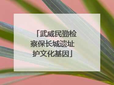 武威民勤检察保长城遗址护文化基因