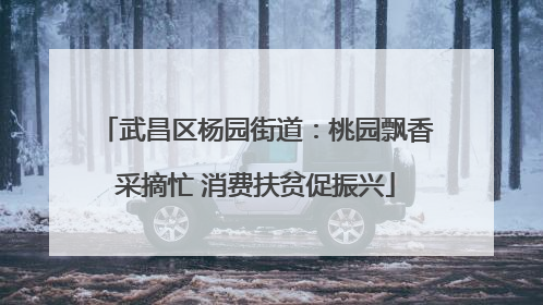武昌区杨园街道：桃园飘香采摘忙 消费扶贫促振兴