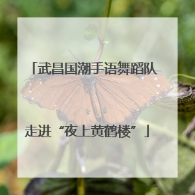 武昌国潮手语舞蹈队走进“夜上黄鹤楼”