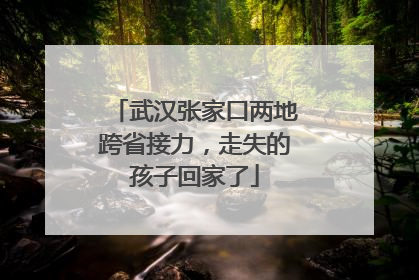 武汉张家口两地跨省接力，走失的孩子回家了