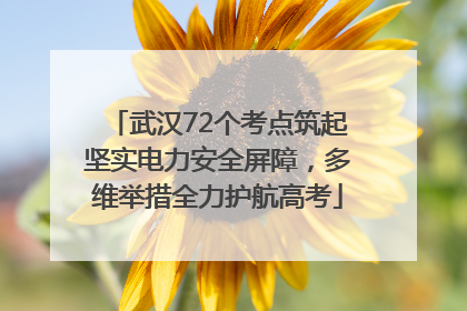 武汉72个考点筑起坚实电力安全屏障，多维举措全力护航高考