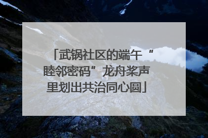 武锅社区的端午“睦邻密码”龙舟桨声里划出共治同心圆