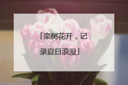 栾树花开，记录夏日浪漫