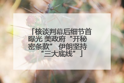 核谈判幕后细节首曝光 美政府“开秘密条款” 伊朗坚持“三大底线”