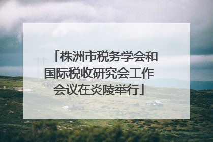 株洲市税务学会和国际税收研究会工作会议在炎陵举行