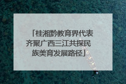 桂湘黔教育界代表齐聚广西三江共探民族美育发展路径