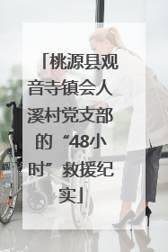 桃源县观音寺镇会人溪村党支部的“48小时”救援纪实