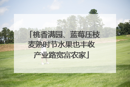 桃香满园、蓝莓压枝 麦熟时节水果也丰收 产业路宽富农家