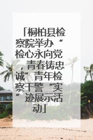 桐柏县检察院举办“检心永向党，青春铸忠诚”青年检察干警“实”迹展示活动