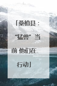 桑植县：“猛兽”当前 他们在行动