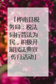 桦南县税务局：税法同行普法为民，积极开展民法典宣传月活动