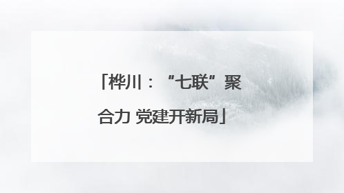 桦川：“七联”聚合力 党建开新局