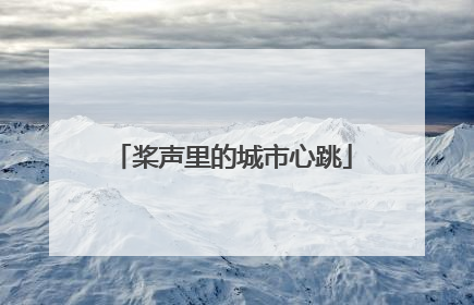 桨声里的城市心跳