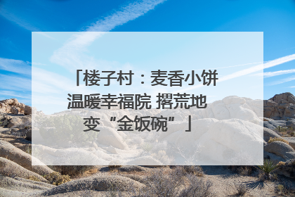楼子村：麦香小饼温暖幸福院 撂荒地变“金饭碗”