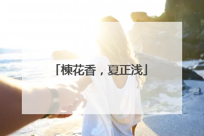 楝花香，夏正浅