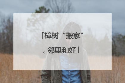 樟树“搬家”，邻里和好