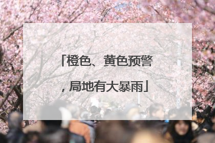 橙色、黄色预警，局地有大暴雨