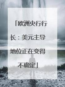 欧洲央行行长：美元主导地位正在变得不确定