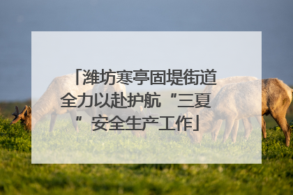 潍坊寒亭固堤街道全力以赴护航“三夏”安全生产工作