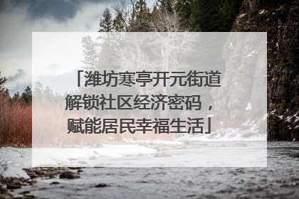 潍坊寒亭开元街道解锁社区经济密码，赋能居民幸福生活