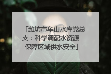 潍坊市牟山水库党总支：科学调配水资源 保障区域供水安全