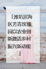 潍坊滨海区芳青玫瑰园以农业创新激活乡村振兴新动能